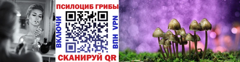 Галлюциногенные грибы GOLDEN TEACHER  Гаврилов-Ям 